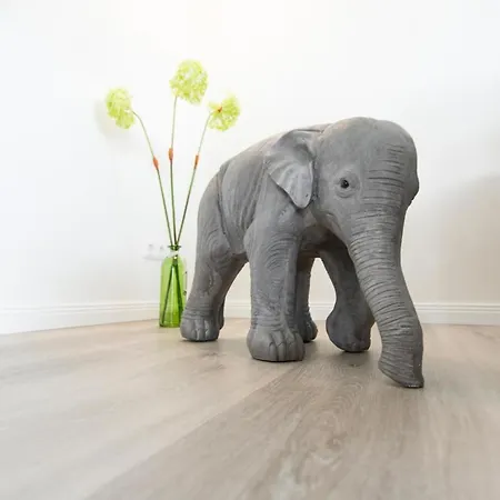 Yachtblick Auf Der Ostsee Апартаменты